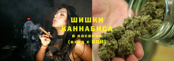 молекула духа Горнозаводск