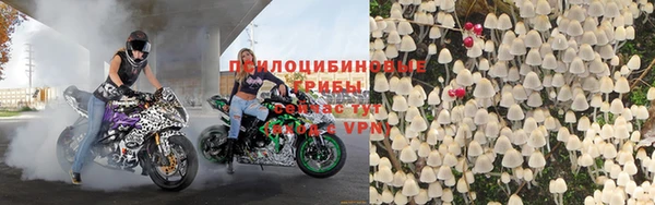 бошки Гусь-Хрустальный