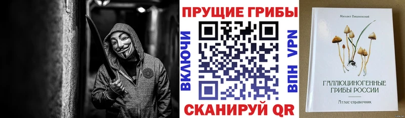закладка Гусь-Хрустальный Галлюциногенные грибы Psilocybine cubensis